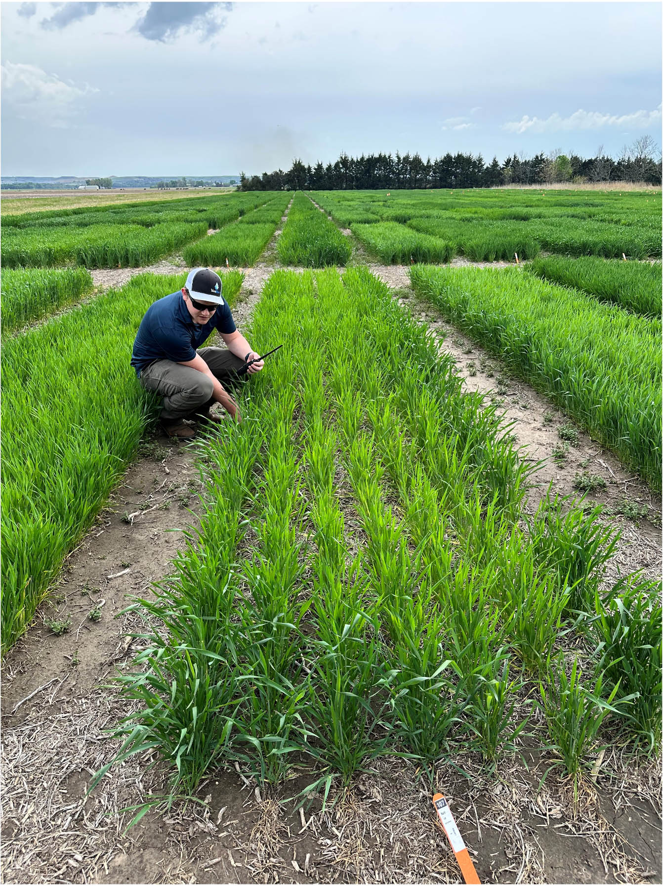 Kaden Spencer, collecting data for his MS thesis work.