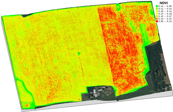 Field image showing variability of field conditions.