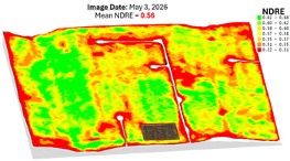 remote sensing image of wheat