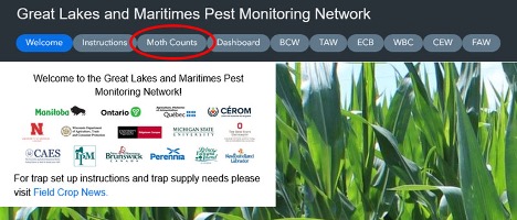 Figure 1. From the landing page, select “Moth Counts” (circled in red).