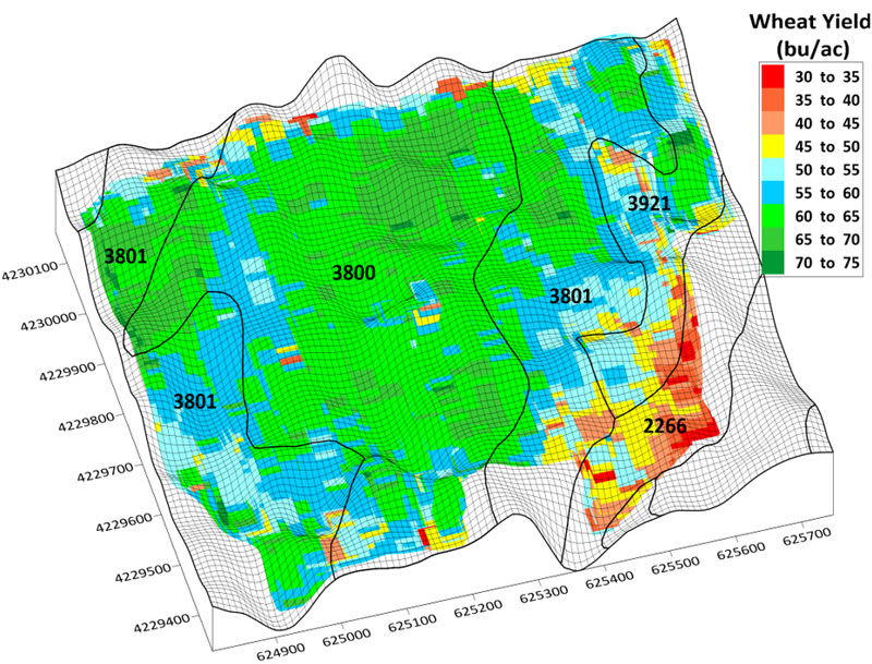 yield map and soil variability map combined