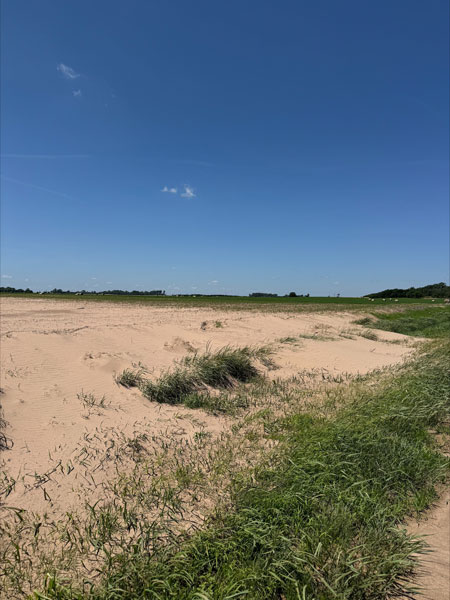 Covered areas of a field in blown soil