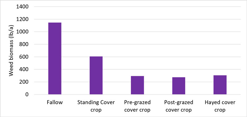 Graph of weed biomass from different cover crops