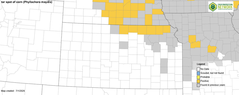 Map of KS with positive counties in yellow