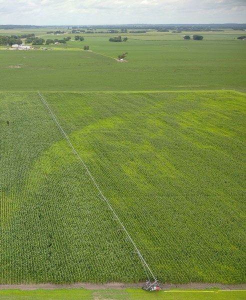 aerial photo of a corn field