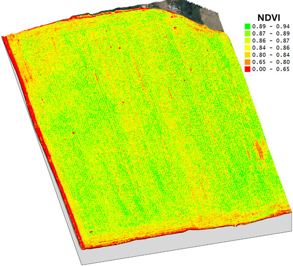 digital map of a field