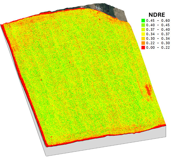 digital map of a field
