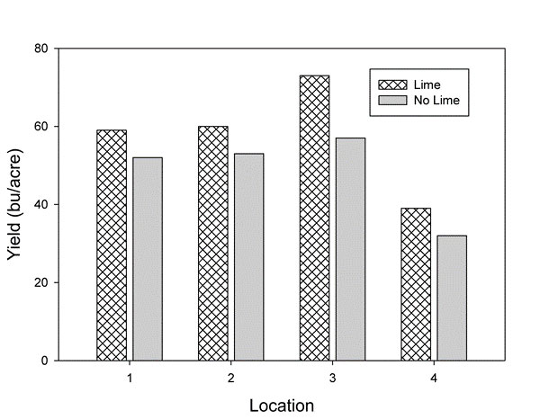 a bar graph