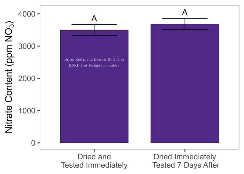 a graph with purple bars