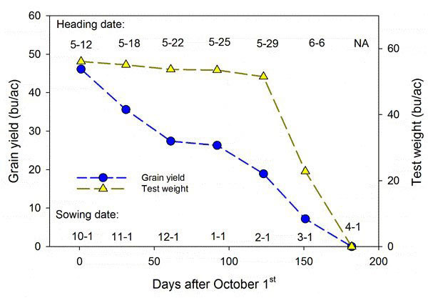 a graph