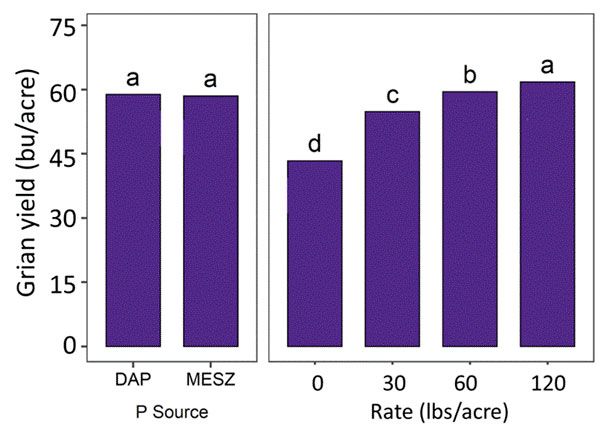 a graph with purple bars