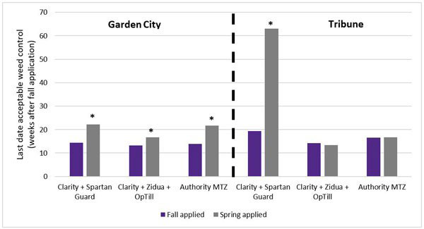 bar graph with gray and purple bars