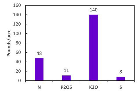 graph with purple bars