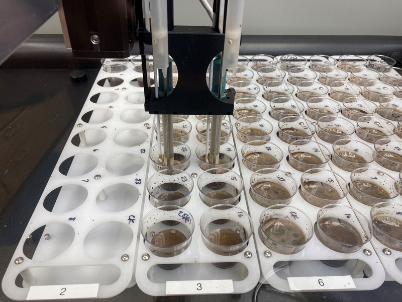 soil extracts in cups getting analyzed