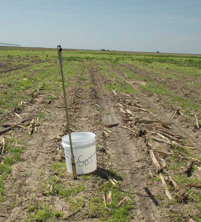 soil probe and bucket