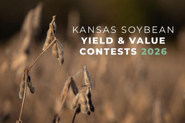 Powercat 2026 Kansas Soybean Yield and Value Contest | K-State | Kansas State ...