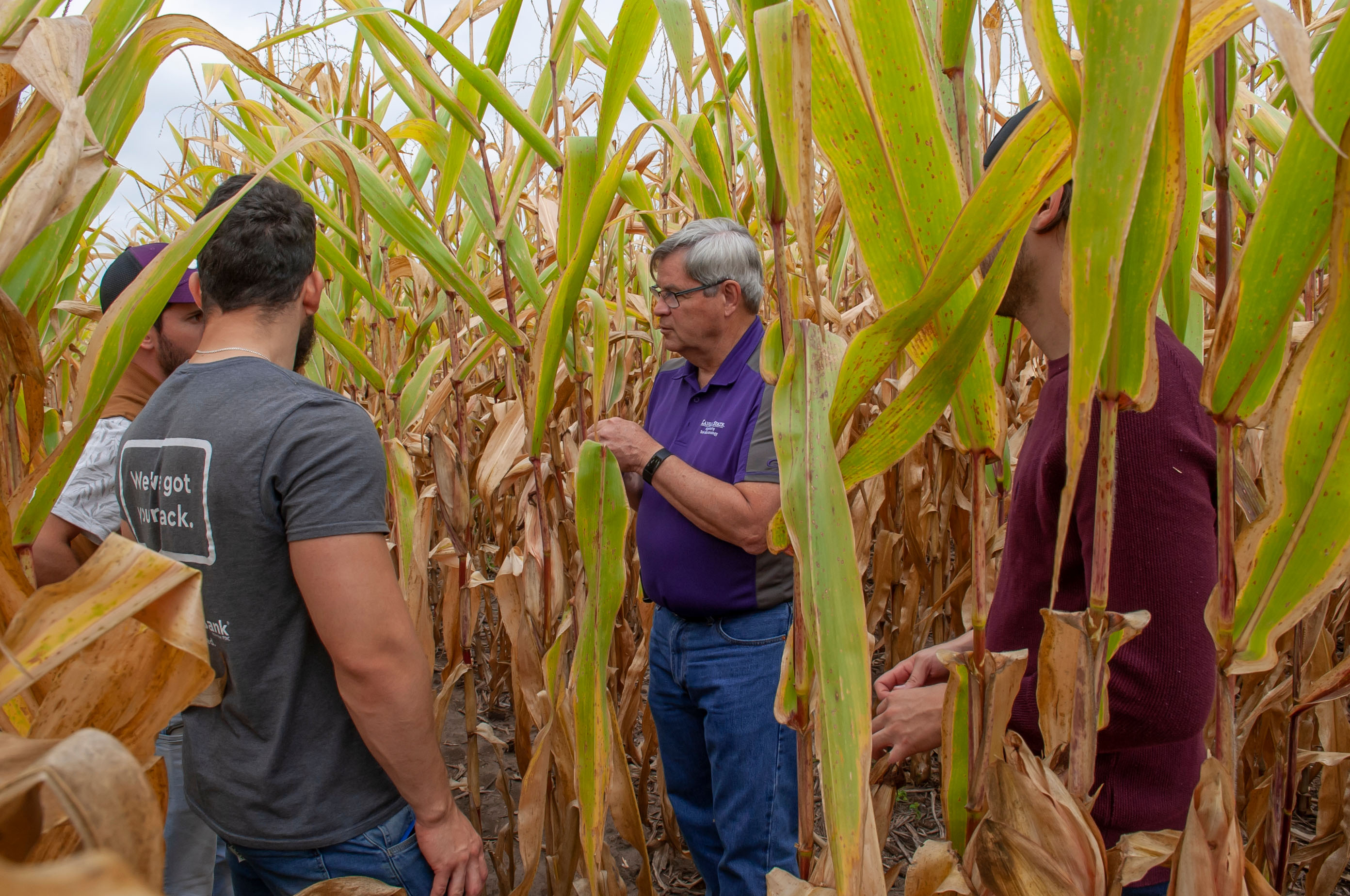 Dr. Charles Rice in corn field