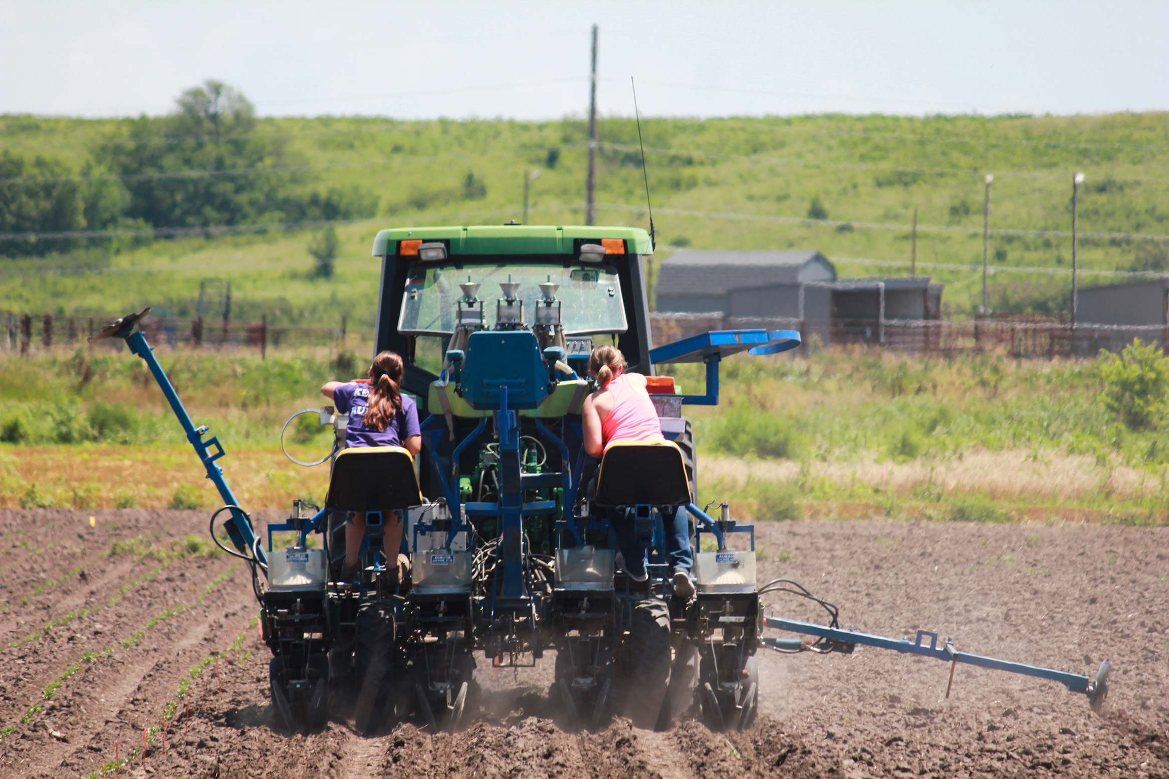 Students planting field