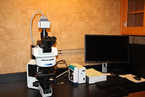 Fluorescence Microscope