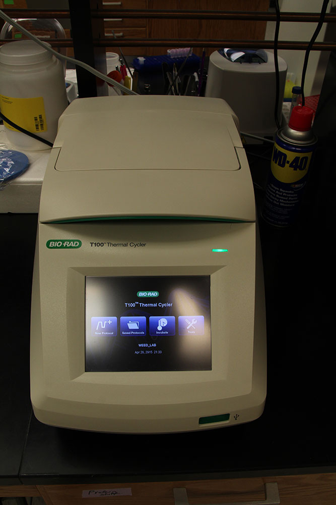 PCR