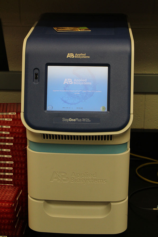 RT-PCR